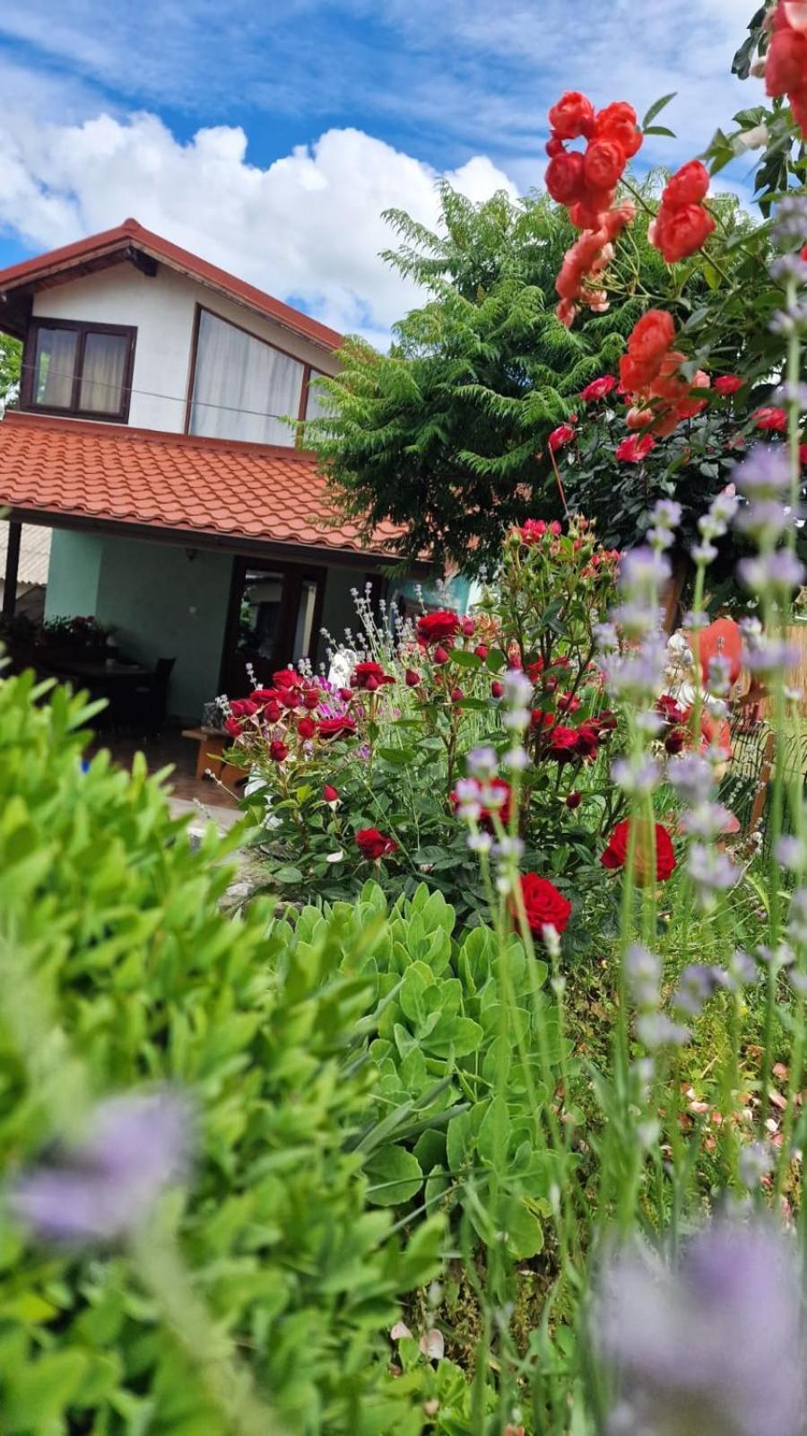 Hotel Casa Adi Si Maria Mahmudia Exteriér fotografie
