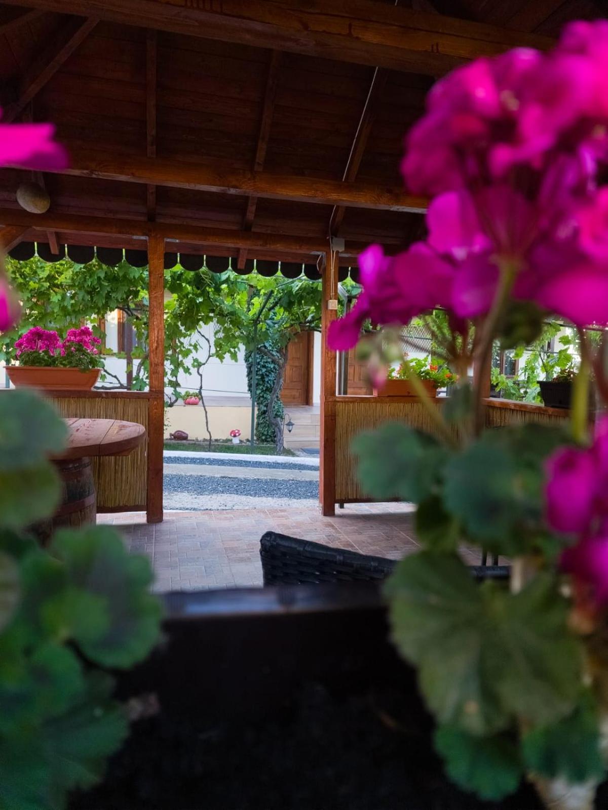 Hotel Casa Adi Si Maria Mahmudia Exteriér fotografie