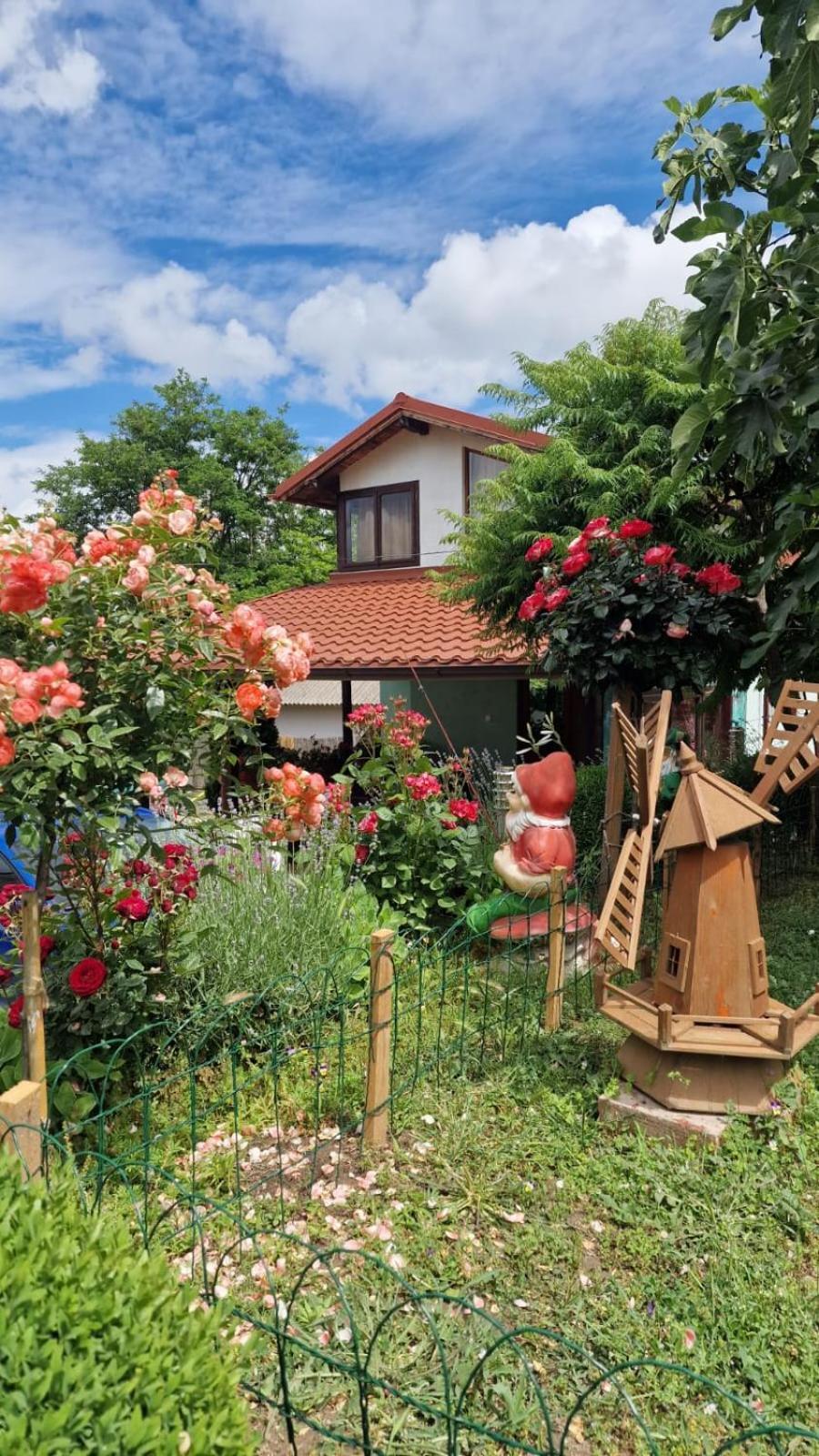Hotel Casa Adi Si Maria Mahmudia Exteriér fotografie